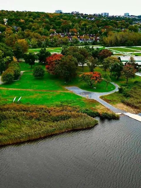 A park beside the water in autumn colors